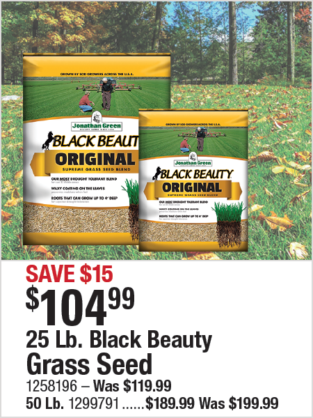 25 Lb. Black Beauty Grass Seed